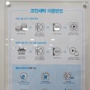 크린토피아성북