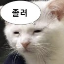 교촌축산 네이버블로그