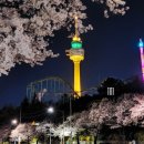 두류공원로 이미지