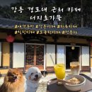 UR(강릉시)-[난곡길76번길]-하-1 | 강릉 경포대 카페 서지초가뜰 애견동반 한옥 감성 디저트 맛집 솔직후기