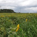 원항농장 이미지