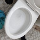 일등세탁소 | 설운동변기막힘 동교동 변기에 옷걸이 조각 들어갔을 때 석션기 깔끔한 해결 후기
