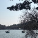 제천시 의림지 주차장 | 제천 의림지 오리배 명소, 걷는 것만으로도 힐링 (내돈내산 후기)