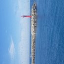 하모리-47 이미지