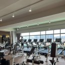 더필라테스 금릉점 | 파주 디클리셰에서 Pt부터 필라테스 골프까지 같이 고민해본 후기