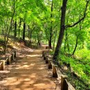 점성공원 이미지