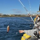 게스트하우스 산 | 제주도 한달살이 후기(게스트하우스 스텝&amp;여행객으로 살아남기)