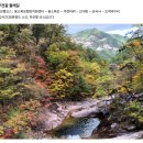 영축산효소 | 가을만끽 설악산 주전골 단풍트래킹, 알록달록 천년고찰 수타사 패키지 버스투어상품 후기