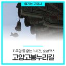 일산고봉고봉1 이미지