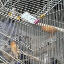 카나리아미용실