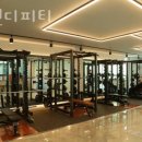 알앤디피티 이미지