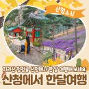 웰니스메이트 이미지