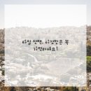 우리타일 이미지