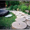 달맞이 흑두부 이미지