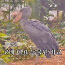 동물왕국 | 고베 동물왕국 vs 시립 오지 동물원 비교, 아이 동반 및 커플 여행 추천 코스