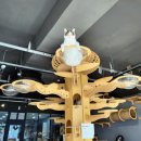 CATS&ME(캣츠 앤 미) | 아이랑 방학 주말] 양산 증산 고양이카페 cats&amp;me 캣츠앤미 내돈내산 후기