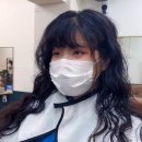 보르미 헤어 이미지