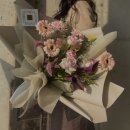 꼬모플레리 이미지