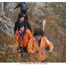 산호동379 이미지