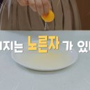 네이처킹덤 이미지