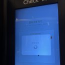 [대전/충청] 롯데시티호텔 대전 트윈룸 🛏️ 내돈내산 후기