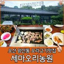 세마오리농원 | 오산 현지인 맛집 양산동 세마오리농원 생오리 내돈내산 솔직후기