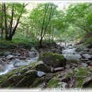 분당노인종합복지관 내 이미지