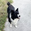 한창농장 | 멀어도 괜찮아 변산농장을 찾은 부안미디어센터 부안칠보기 현장 학습 후기