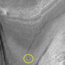 큐리오시티 이미지