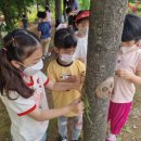 연천유치원 이미지