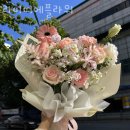 라미띠에플라워