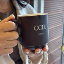 카페씨씨디(CCD) 이동본점 이미지