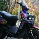 90/Red Bull BWS100 이미지