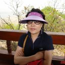 상록초교 이미지