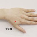 두레네약국 이미지