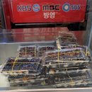 한입떡볶이와통통오뎅