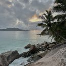 용담 섬바위마트 | 🇸🇨 2025. 09. (세이셸 day2) 라디그 섬의 꽃은 자전거 타기가 분명해 🚲