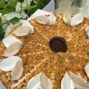 에이핏 | 2025 에이핏우즈 론칭 행사 후기