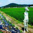 옵스큐라 이미지