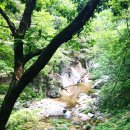 용소골민박 | 홍천 용소계곡 백숙 맛집 용소골박가네(군유동 주차장 근처)/홍천9경 생태체험탐방로 5구간 군유동길...