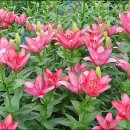 영상☆컬럼-:★: 06/06/17 - 오늘의 포토뉴스 이미지