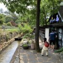 민들레울 이미지