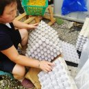 용귀농장 이미지