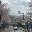이마트24 전대북문점 | 250420 남한산성 맛집 추천: 옛날순두부집_남한산성 벚꽃 산책