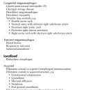 디오 동물병원 이미지