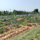 이도농장 이미지