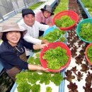 노암경로당 이미지