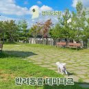 맑음터공원-B | 오산 반려동물테마파크 폐지? 2025년 최근 방문 후기