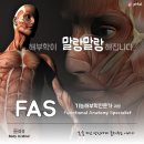 [FAS] 해부학이 말랑해지는 기능해부학전문가 과정 이미지