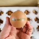 고성지역자활센터(땅꼴농장) 이미지